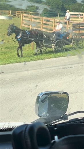 Charlie Ray on Instagram: "#GPS failure"