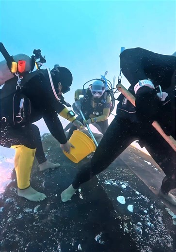 Ship bottom cleaning 🙃🪣🧹🙃🧹🙃🧹🙃 📱🔃Turn your phone upside down and look again. #scuba #scubadiving #伊江島マリナー