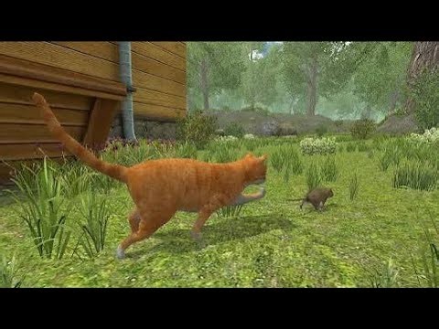 Background Music — Mouse Simulator : Family
