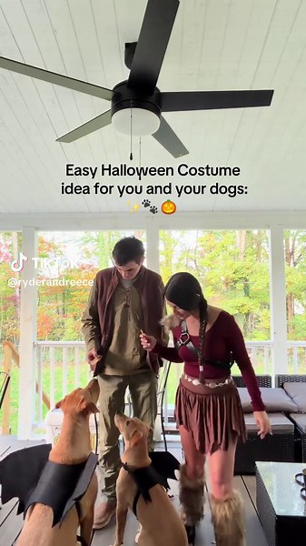 The cutest dragons in the 🌎 #howtotrainyourdragon #halloween #halloweencostume #dogsoftiktok #toothlessthedragon