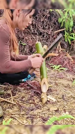 Building a Safe Shelter in the Deep Forest