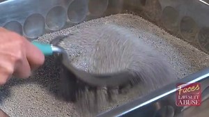 Are some #California lawyers skimming off the backs of business owners? Watch this video and find out. | Faces of Lawsuit Abuse