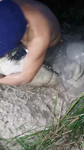 6.1K views · 33 reactions | Spotted a very pity tree-rat really in danger now #Poorlittlemonkey #Babymonkey #Helpbabymonkey #Recusemonkey #Babymonkey #Sadbabymonkey #monkeylove #monkeylife #monkeyfun #Monkeyvideos #Monkeylover | Monkey Fiya | Facebook