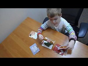 Sorting Pictures into Categories: 5 year old Kindergarten