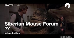 Siberian Mouse Forum 🖖🏿 - Coub