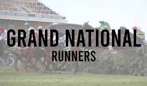 2026 Grand National Runners | Horses Names and Race Numbers