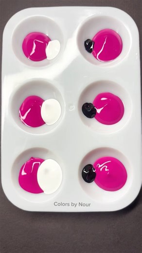 Fuchsia & White VS Fuchsia & Black! 🩷 #colors #fuchsia