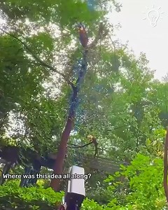 7.6M views · 13K reactions | Using Laser To Cut Tree Branches!  | Dr Shauwn Mkhize - Mamkhize | Facebook