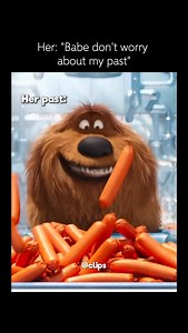 138K views · 137 reactions |  Interesting fact: In The Secret Life of Pets (2016), the animators studied real pets for months to capture their personalities and movements. Some of the pets in the movie were even inspired by the animators’ own dogs and cats, making the characters feel more authentic and relatable. | Clips | Facebook