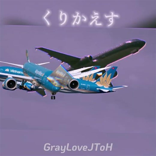 looping the plane ahh #loopingtherooms #aviation #plane #vietnamairlines #evaair #fypシ #edit #viral