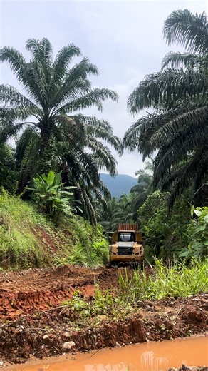 nasib baik ado artic tarik