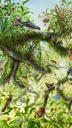 Biodiversity is beautiful — but it’s also at risk. Here’s how this artist is illustrating the issue: #IsabellaKirkland #Nature #Art | TED