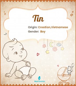 Tin Name Meaning, Origin, History, And Popularity