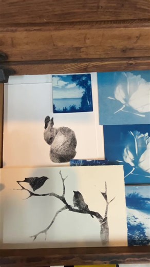 Explore Susan Hall's Stunning Monotypes and Cyanotypes