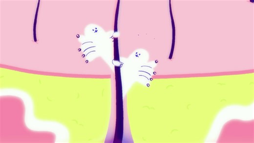 What is the ecology of Demodex mites that live in human pores?