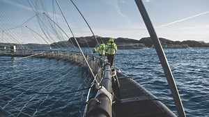 Plastic pens - AKVA group