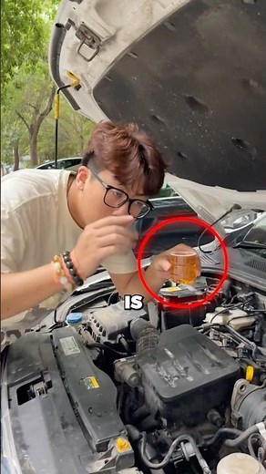 How to Fix Noise & Vibration in Your Car 🚗