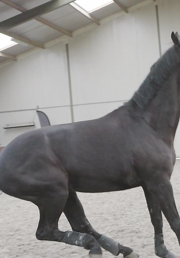 7.3K views · 479 reactions | Hej allihopa! Join my LIVE Masterclass...