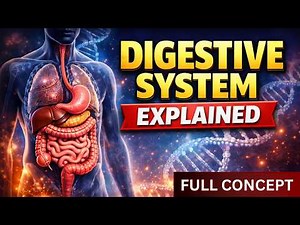 Human Digestive System Explained | Full Concept, Organs, Process & Functions