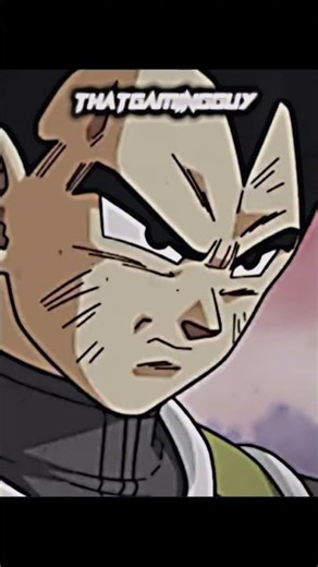 Xeno Goku & Xeno Vegeta Return To Their Dimension…