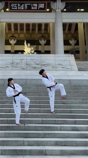 #karate #martialarts #mma #kickboxing #boxing #taekwondo