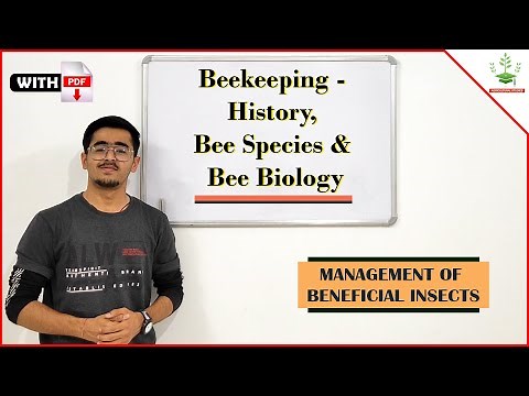 Beekeeping - History, Bee species And Bee Biology