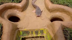 How to Make a Traditional Fish Trap