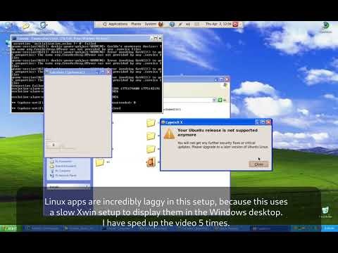 WSL... on Windows XP?