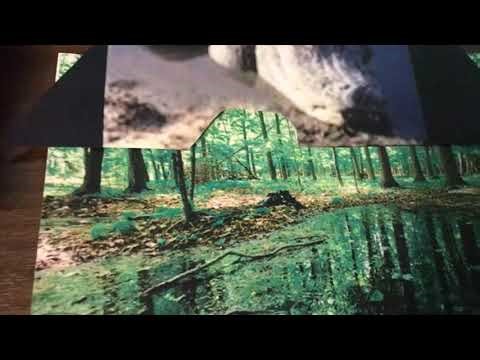 Stop Motion Animation Animals A to Z Part 1 A is for Alligator