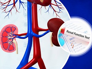 Kidney Function Test: Types Of Tests You Must Take To Avoid Complications