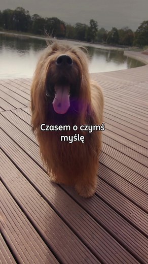 Przypomnienie o płatnościach w Moim ING