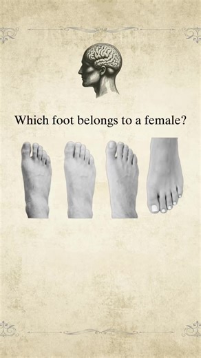 Discover Your Intuition Style with This Fun Test