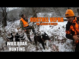 Lov Divlje Svinje - Wild Boar Hunting 20 🐗