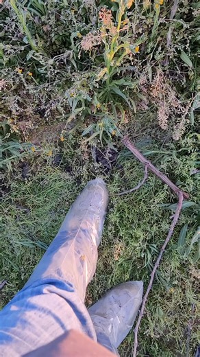 💢💯💥🙏🙏🙏🙏👍👍💥💥💢