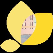 Rehabilitation Services