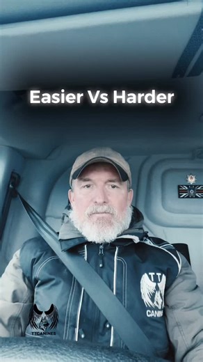 12 reactions | Set your dogs, problem solving tasks that can be...