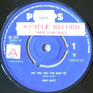 Mike Hurst - Any Time That You Want Me