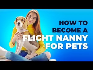 How to Become a Flight Nanny for Pets: Ensuring Safe Pet Travels