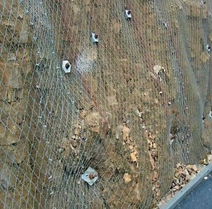 [Hot Item] High Tensile Wire Mesh Rockfall Protection Active Rockfall Barrier System Slope Protection Mesh Wire Mesh