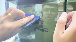 Funny Stickers for car | Funny Bumper Stickers for Sedan, Truck, SUV | Transparent Film, Easy to wrap and Remove, Best fit for Bright Color Vehicles (Peeing)