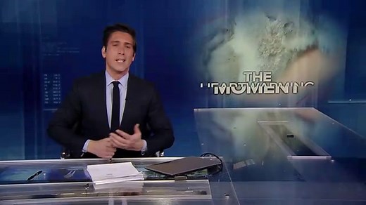 Heartwarming video of koala, stuffed animal