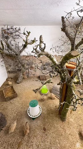 83K views · 4.8K reactions | Part 1 – Winter arrives in the Tropical...