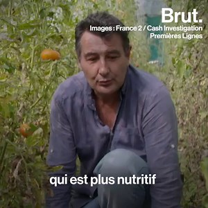 1.5M views · 10K reactions | 90 % des tomates cultivées en France sont cultivées hors-sol… CASH Investigation a tenté de comprendre comment sont cultivées les tomates qui finissent dans nos assiettes. Une enquête édifiante alors qu'en 60 ans, elles ont perdu une grande partie de leur valeur nutritive. (images : Premières Lignes) | Brut | Facebook