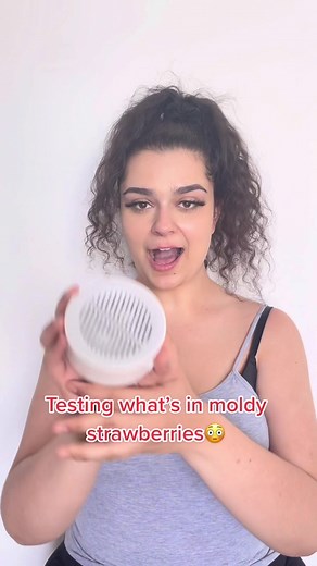 From Moldy to Fresh: Aqua Pier Vegetable Cleaner Review