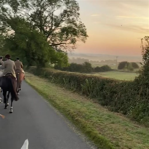 Slowing it down on hound exercise to appreciate the beauty around us 🌅 #quornhunt #horses #ponies #countryliving #countrysports #trailhunting #countrylife #huntinglife #equestrianlife #houndexercise #followhounds #morningvibes #sunrisephotography Countryside Alliance Hunting British Hound Sports Association | The Quorn Hunt