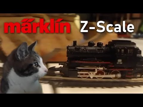Z-Scale Running Featuring Afri (My cat)