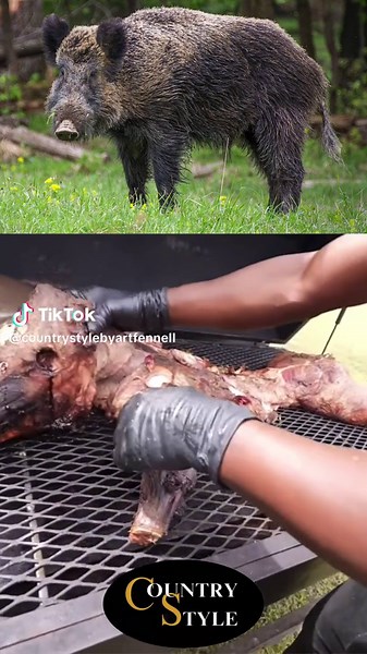 Country Style on TikTok