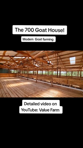 Modern Goat farming! This is our 700 goat house. Detailed video on YouTube to learn more about Goat farming! #fyp #foryoupage #ugandatiktok #valuefarm #viralvideo #goats #farmer #kenyantiktok🇰🇪 #nigeriantiktok🇳🇬 #goathouse #investing