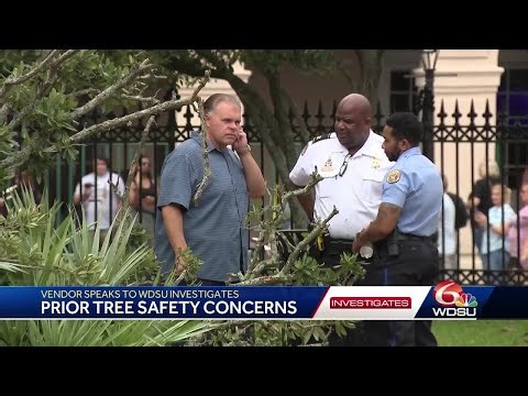 tree collapse investigate