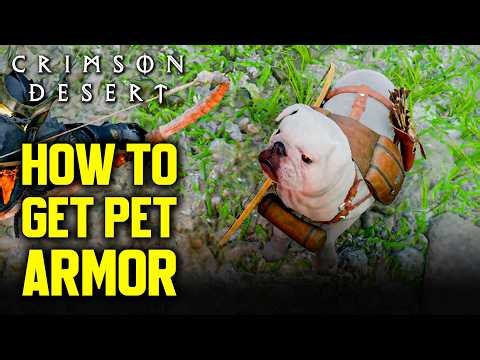 Crimson Desert - How to get Pet Armor & Find Pet Shop Early